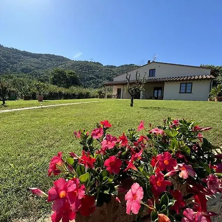 Casa Viviani Villa Lucca